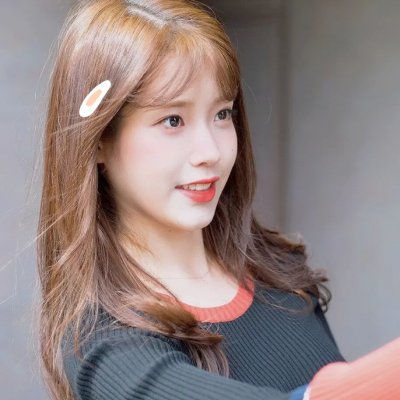 红犬历险记
